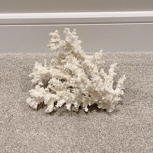 Pottery Barn Decorative Coral (small)